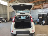  Fiat  Panda FIAT  / 2011 / 5P / BERLINA 0.9 TWINAIR TURBO 85CV WILD 4X4 #123