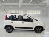  Fiat  Panda FIAT  / 2011 / 5P / BERLINA 1.0 FIREFLY 70CV SeS HYBRID CITY LIFE #7