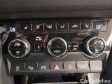  Skoda  Kodiaq 2.0l TDI DSG 4x4 CLEVER #14
