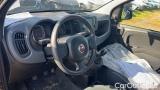  Fiat  Panda 1.0 FireFly 70cv S&S Hybrid #7
