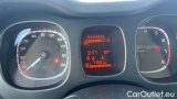  Fiat  Panda 1.0 FireFly 70cv S&S Hybrid #12