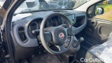  Fiat  Panda 1.0 FireFly 70cv S&S Hybrid #7