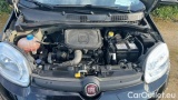  Fiat  Panda 1.0 FireFly 70cv S&S Hybrid #15