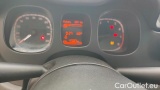  Fiat  Panda 1.0 FireFly 70cv S&S Hybrid #13