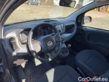  Fiat  Panda 1.0 FireFly 70cv S&S Hybrid #7