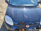  Fiat  Panda 1.0 FireFly 70cv S&S Hybrid #48