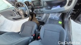  Fiat  Panda 1.0 FireFly 70cv S&S Hybrid #7