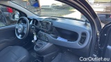  Fiat  Panda 1.0 FireFly 70cv S&S Hybrid #7