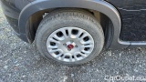  Fiat  Panda 1.0 FireFly 70cv S&S Hybrid #14