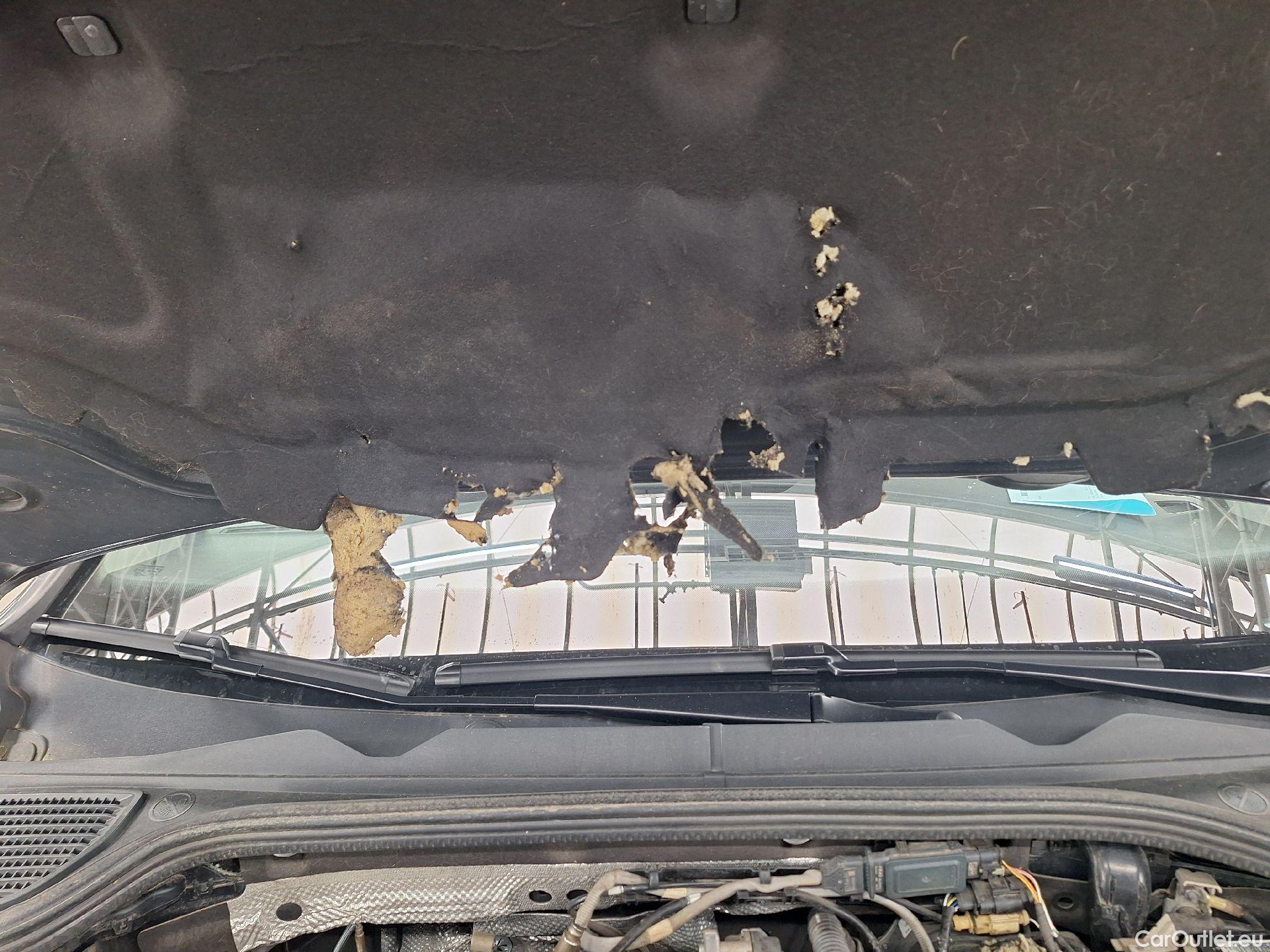  Volkswagen  Golf  VW, VIII '20, Volkswagen VIII 2.0 TDI 85kW Life 5d #2