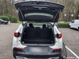  Opel   Grandland X Grandland X / Grandland Business Elegance 1.5 96KW AT8 E6d #21