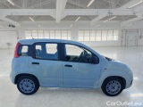  Fiat  Panda FIAT  / 2011 / 5P / BERLINA 1.0 FIREFLY 70CV SeS HYBRID #7
