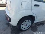  Fiat  Panda FIAT  / 2011 / 5P / BERLINA 1.0 FIREFLY 70CV SeS HYBRID #39
