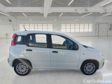  Fiat  Panda FIAT  / 2011 / 5P / BERLINA 1.0 70CV SeS HYBRID #7