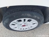  Fiat  Panda FIAT  / 2011 / 5P / BERLINA 1.0 70CV SeS HYBRID #18