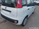  Fiat  Panda FIAT  / 2011 / 5P / BERLINA 1.0 70CV SeS HYBRID #36
