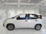  Fiat  Panda FIAT  1.2 69CV POP #8