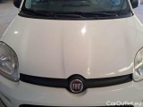  Fiat  Panda FIAT  1.2 69CV POP #30