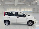  Fiat  Panda FIAT  / 2011 / 5P / BERLINA 1.0 70CV SeS HYBRID #7