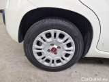  Fiat  Panda FIAT  / 2011 / 5P / BERLINA 1.0 70CV SeS HYBRID #18