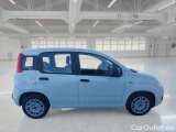  Fiat  Panda FIAT  / 2011 / 5P / BERLINA 1.0 FIREFLY 70CV SeS HYBRID #7