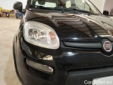  Fiat  Panda FIAT  / 2011 / 5P / BERLINA 1.0 FIREFLY 70CV SeS HYBRID #38