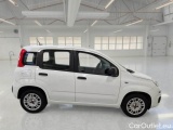  Fiat  Panda FIAT  / 2011 / 5P / BERLINA 1.2 69CV SeS E6D-TEMP EASY #7