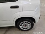  Fiat  Panda FIAT  / 2011 / 5P / BERLINA 1.2 69CV SeS E6D-TEMP EASY #58