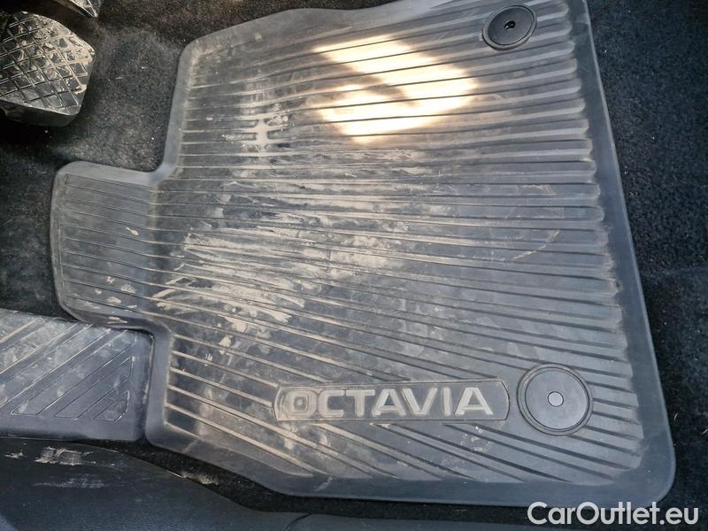  Skoda  Octavia  Combi (NX3)(2020) Oct.C.2.0TDI 110 4x4 Ambit AT #14