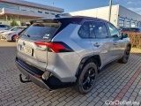  Toyota  RAV4  2019  2.5 Hyb.Select.4WD Aut 5d #2