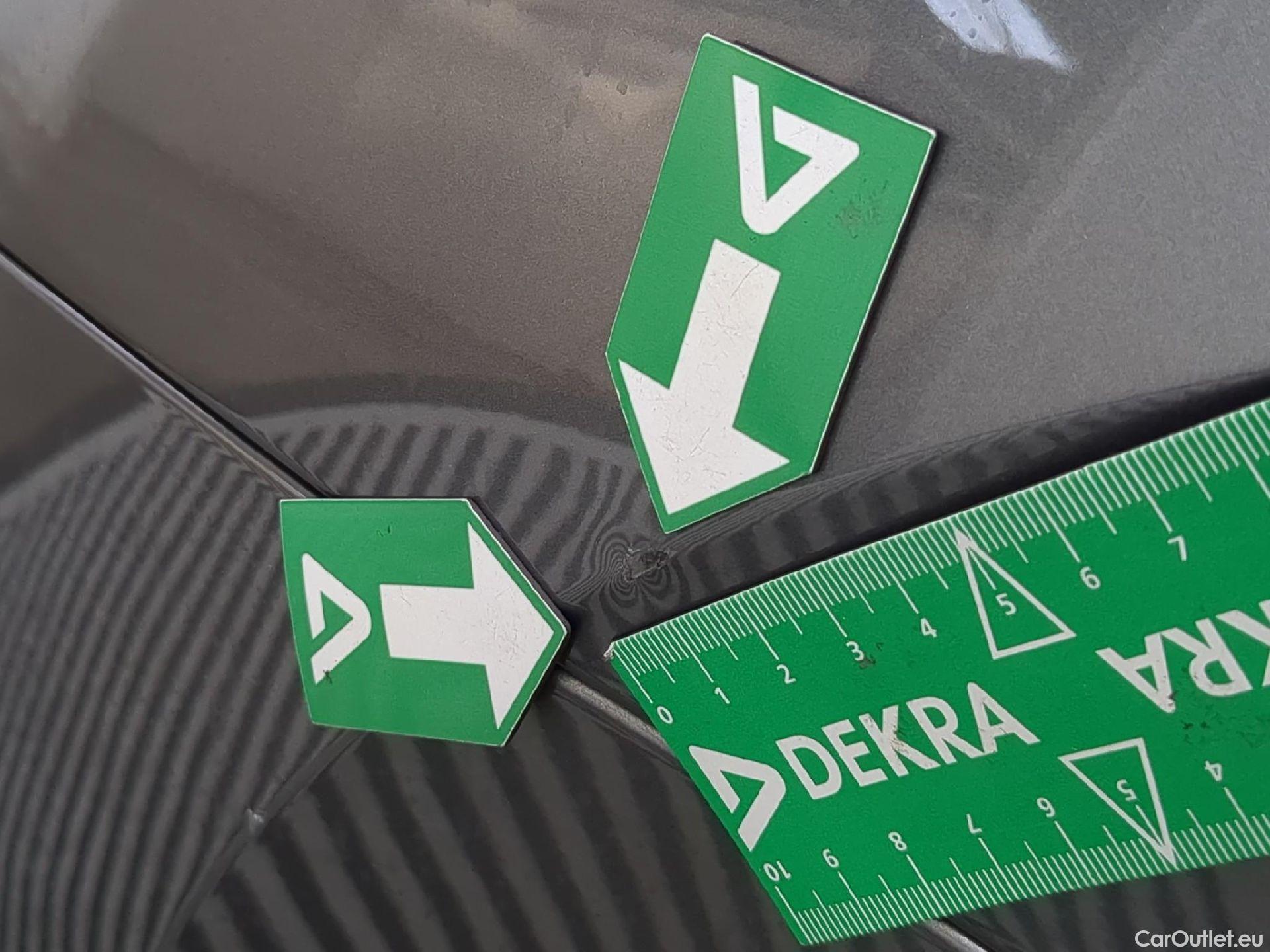  Skoda  Octavia  Break Business 2.0 TDI 150CV BVA7 E6d #19