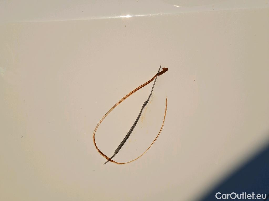  Fiat  Scudo FIAT  / 2021 / 4P / furgón Furgón L2 120cv MT6 Business (AC) #14