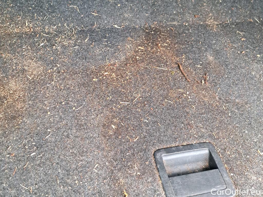  Volkswagen  Polo VOLKSWAGEN  / 2017 / 5P / berlina con portón GTI 2.0 TSI 147kW (200CV) DSG #8