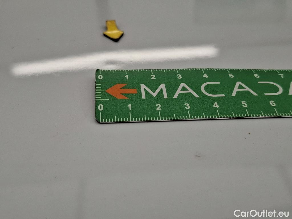  Skoda  Octavia  Break Business 2.0 TDI 150CV BVA7 E6d / TRANSFO VP/VF #28