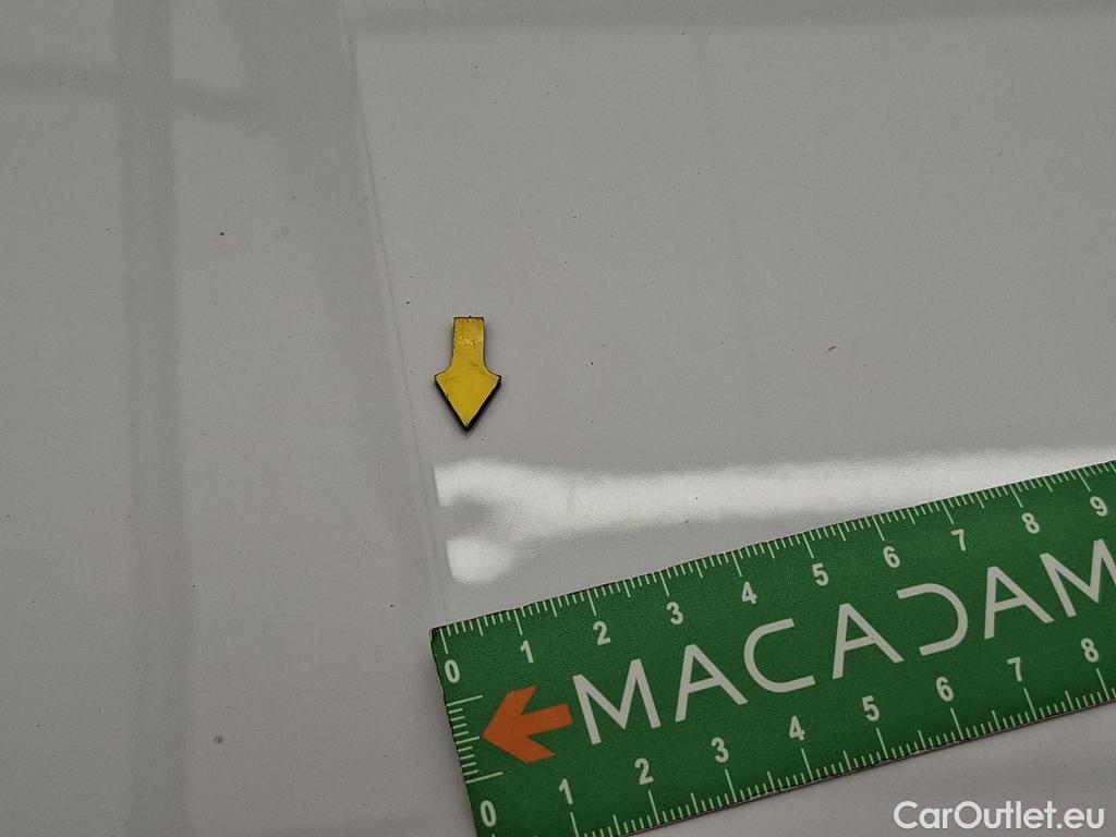  Skoda  Octavia  Break Business 2.0 TDI 150CV BVA7 E6d / TRANSFO VP/VF #17