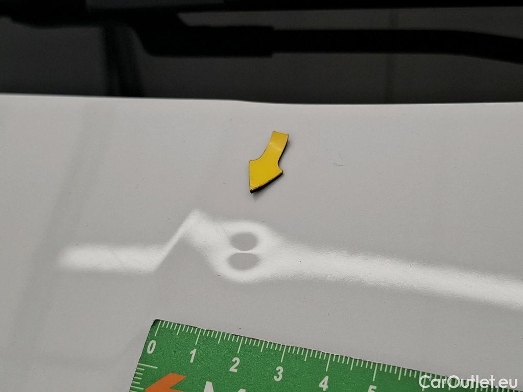  Skoda  Octavia  Break Business 2.0 TDI 150CV BVA7 E6d / TRANSFO VP/VF #10