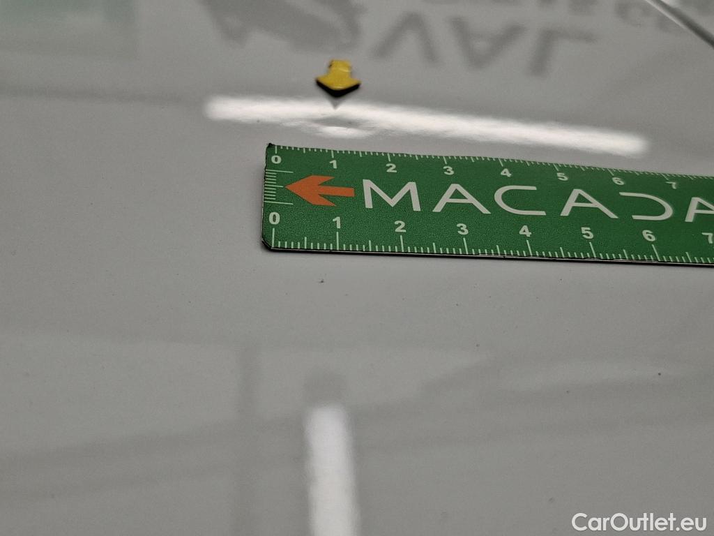  Skoda  Octavia  Break Business 2.0 TDI 150CV BVA7 E6d / TRANSFO VP/VF #31