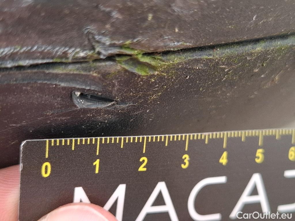  Ford  Focus  Break Titanium X 1.5 EcoBlue 120CV BVM6 E6dT #14