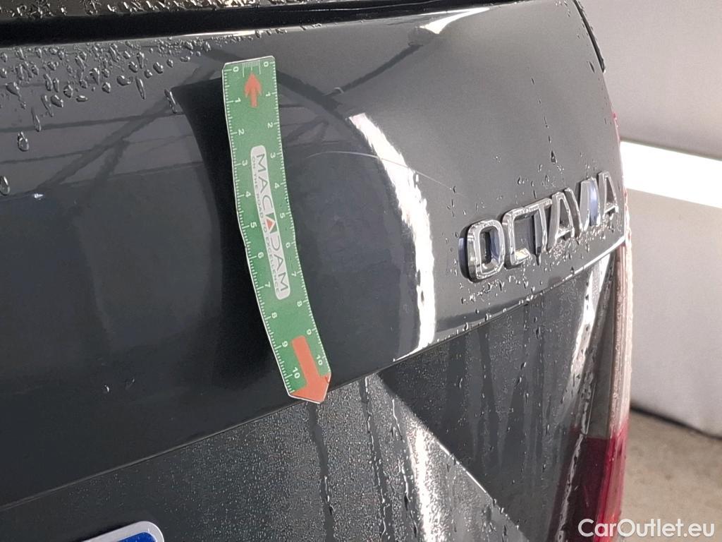  Skoda  Octavia  Combi Business 1.6 TDI 115CV BVM5 E6dT #11