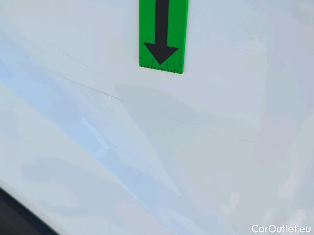  Ford  Transit 2.0EcoBlue 130PS 350 L4H3 Trend RWD #38