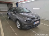 C4 Cactus