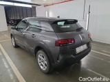 C4 Cactus