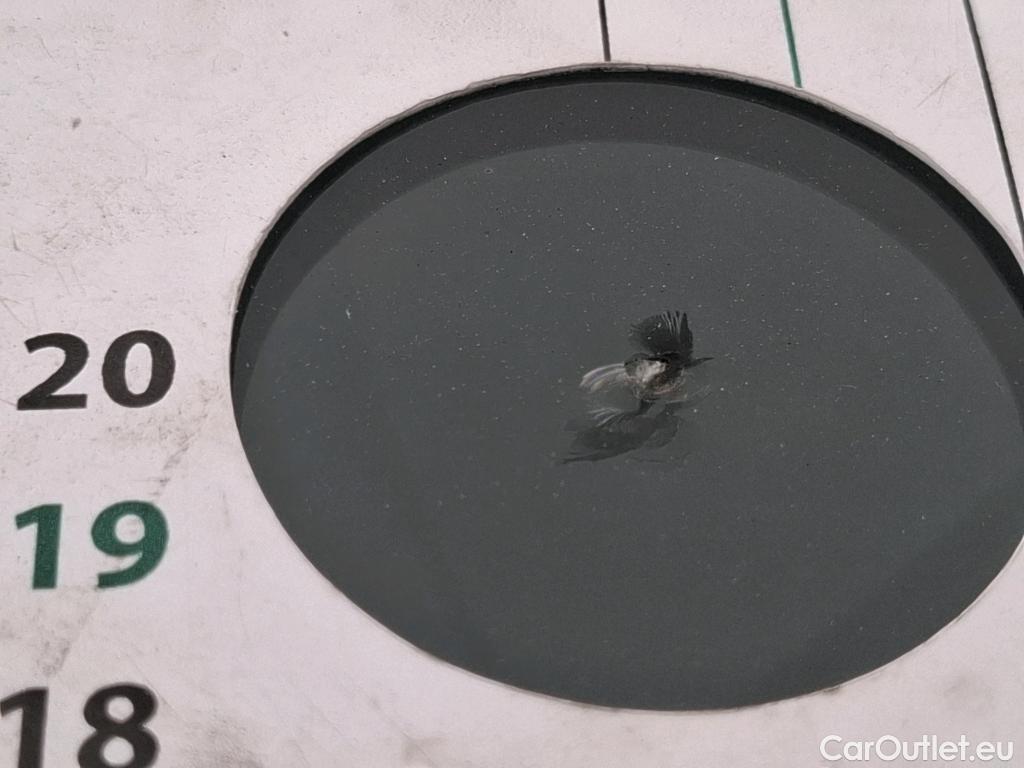  Citroen  Berlingo  Fourgon Driver M 1000 1.5 BlueHDi 100CV BVM5 E6dT #17