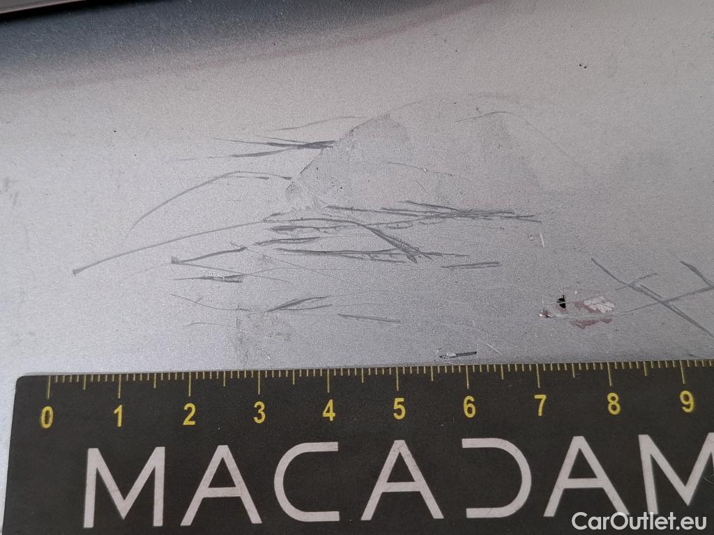  Skoda  Octavia  Break Business 2.0 TDI 115CV BVM6 E6d #18