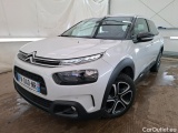 C4 Cactus