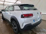 C4 Cactus