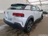 C4 Cactus
