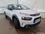 C4 Cactus