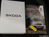  Skoda  Kodiaq  Business 1.5 TSI 150CV BVA7 7 Sieges E6d #12
