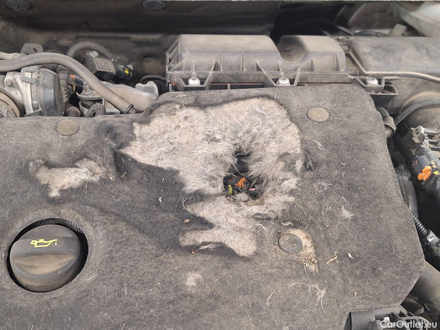  Peugeot  508 Peugeot,  SW '18, Peugeot  SW 1.5 BlueHDi 130 S&S EAT8 Allure 5d #28